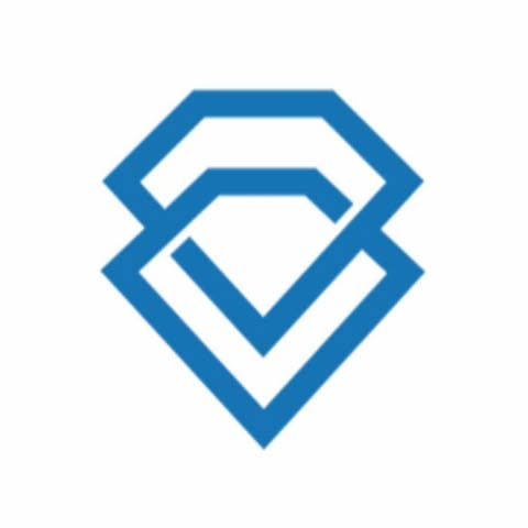 Diamond State Chiropractic logo