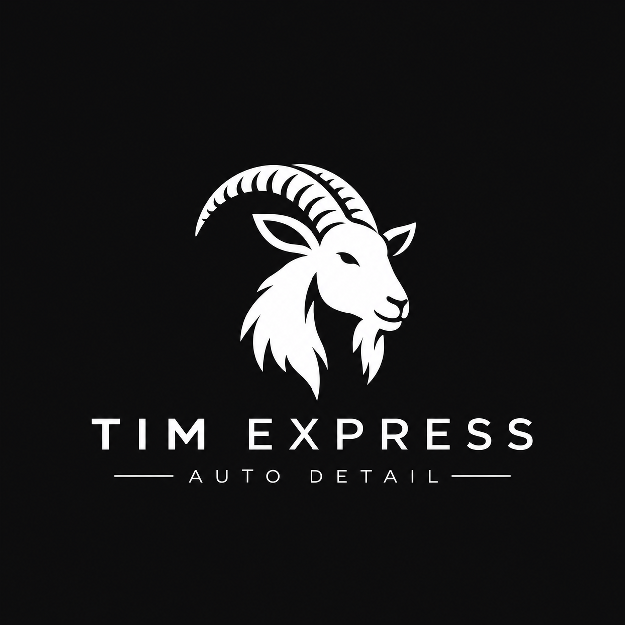 Tim Express Auto Detail logo